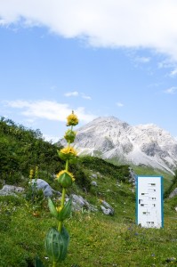 Tuere_Lech-Zuers-Tourismus_Türe von Reinhold NEURURER