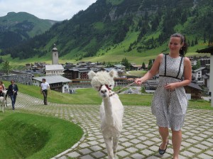 Medicinicum Lech2016_Alpaca1